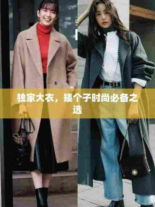 独家大衣,矮个子时尚必备之选