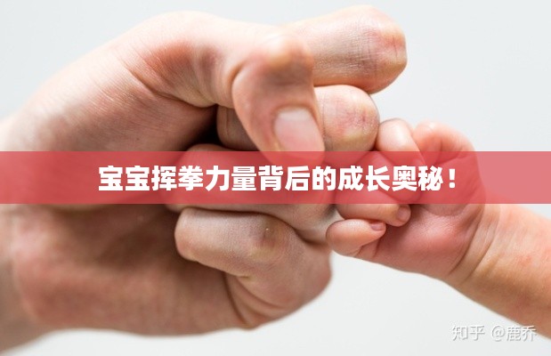 宝宝挥拳力量背后的成长奥秘!