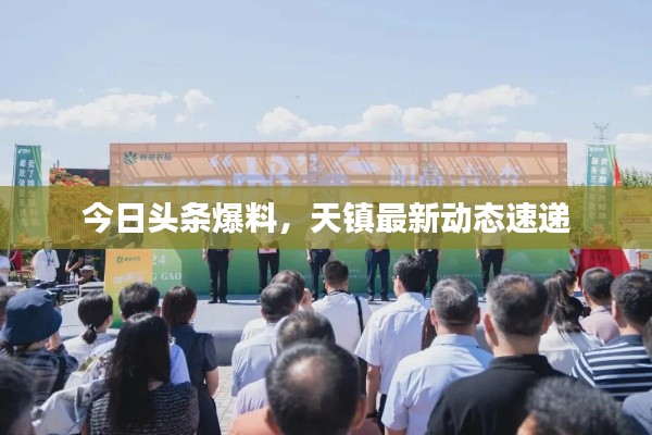 今日头条爆料,天镇最新动态速递