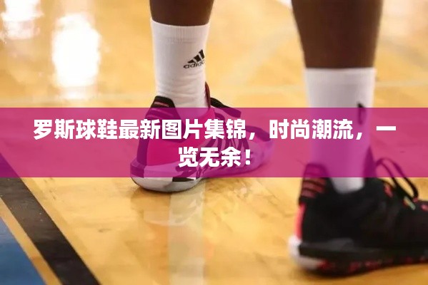 罗斯球鞋最新图片集锦,时尚潮流,一览无余!