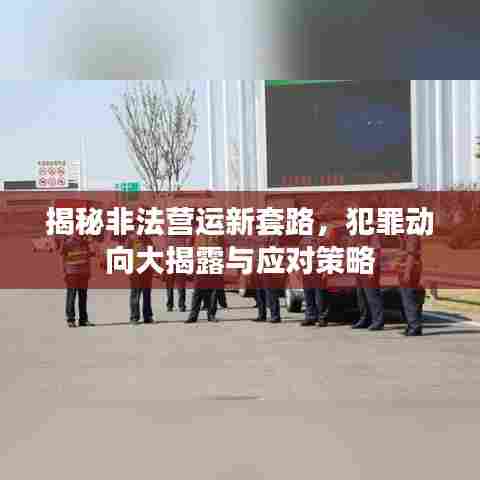 揭秘非法营运新套路，犯罪动向大揭露与应对策略