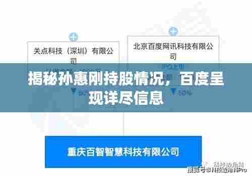 揭秘孙惠刚持股情况,百度呈现详尽信息