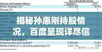 揭秘孙惠刚持股情况,百度呈现详尽信息