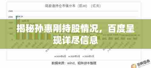 揭秘孙惠刚持股情况,百度呈现详尽信息