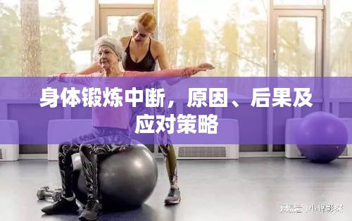 身体锻炼中断,原因、后果及应对策略