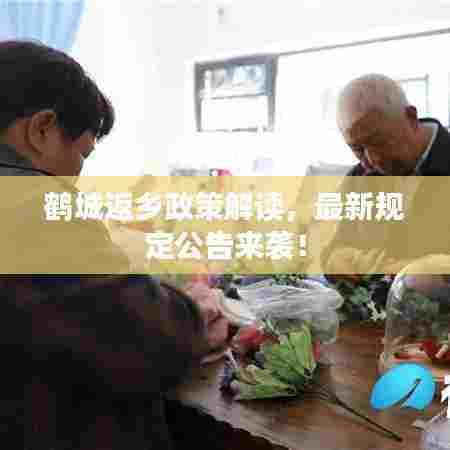 鹤城返乡政策解读,最新规定公告来袭!