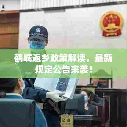 鹤城返乡政策解读,最新规定公告来袭!