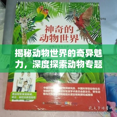 揭秘动物世界的奇异魅力,深度探索动物专题作文