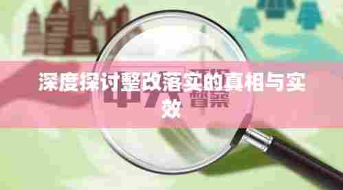 深度探讨整改落实的真相与实效