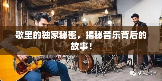 歌里的独家秘密，揭秘音乐背后的故事！