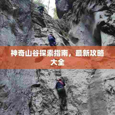 神奇山谷探索指南，最新攻略大全