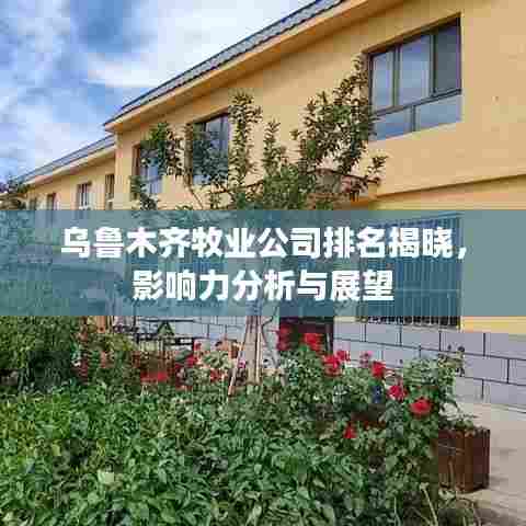乌鲁木齐牧业公司排名揭晓,影响力分析与展望