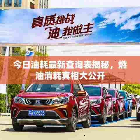 今日油耗最新查询表揭秘,燃油消耗真相大公开