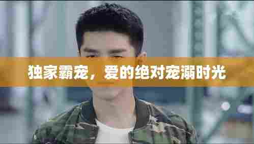 独家霸宠,爱的绝对宠溺时光