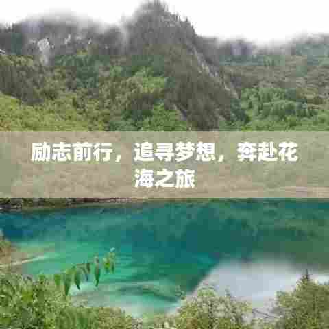 励志前行,追寻梦想,奔赴花海之旅