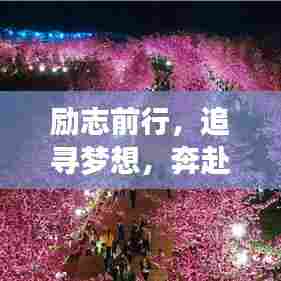 励志前行,追寻梦想,奔赴花海之旅