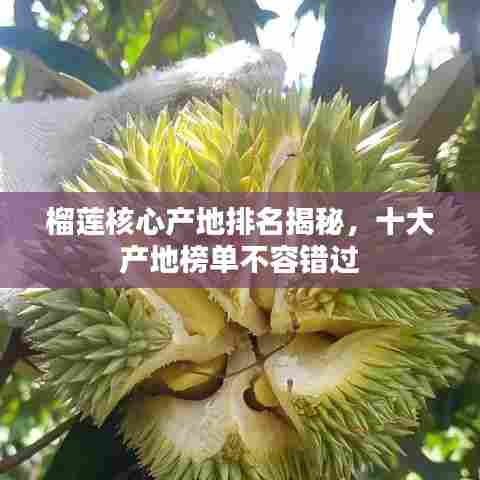 榴莲核心产地排名揭秘，十大产地榜单不容错过