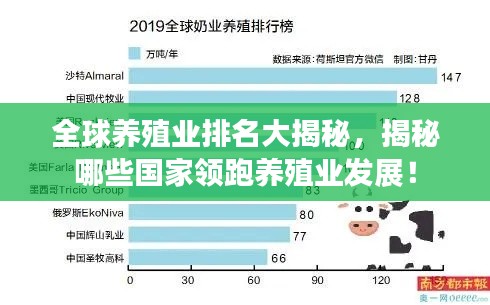 逆风飞扬 第6页