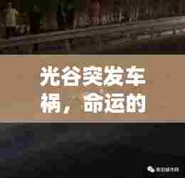 光谷突发车祸,命运的无声悲剧瞬间降临