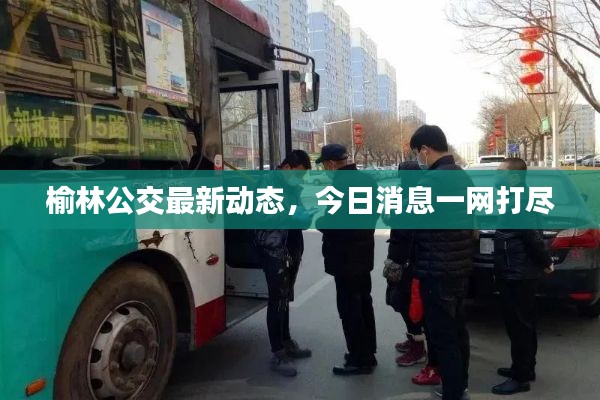 榆林公交最新动态，今日消息一网打尽