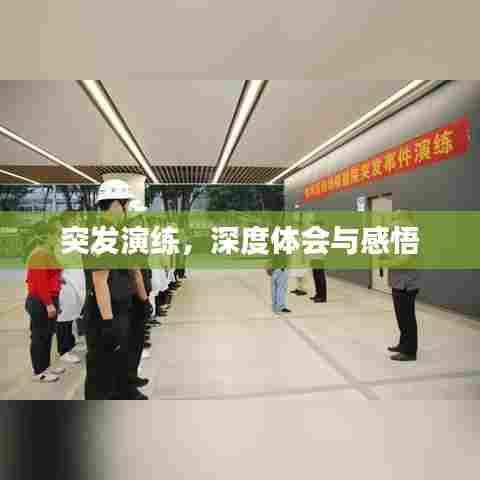 突发演练,深度体会与感悟