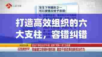 打造高效组织的六大支柱,容错纠错机制的落实之道