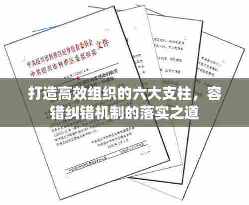 打造高效组织的六大支柱,容错纠错机制的落实之道