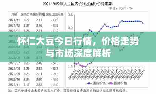 怀仁大豆今日行情,价格走势与市场深度解析