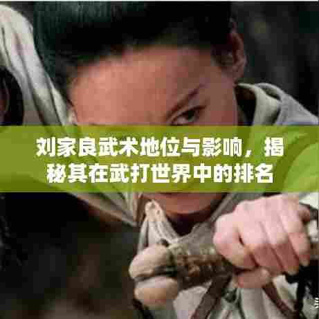刘家良武术地位与影响，揭秘其在武打世界中的排名