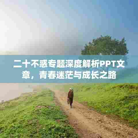 二十不惑专题深度解析PPT文章,青春迷茫与成长之路