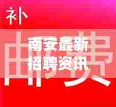 南安最新招聘资讯速递