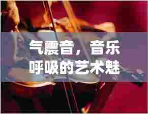 气震音,音乐呼吸的艺术魅力