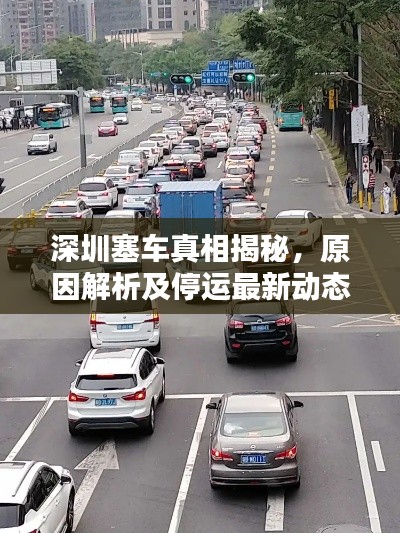 深圳塞车真相揭秘，原因解析及停运最新动态