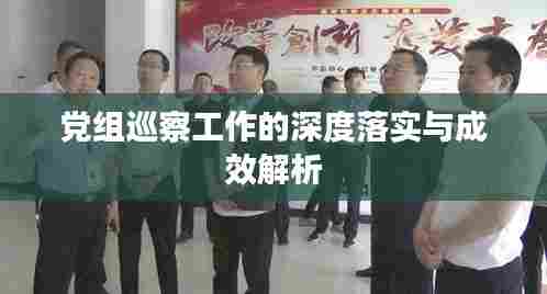 党组巡察工作的深度落实与成效解析