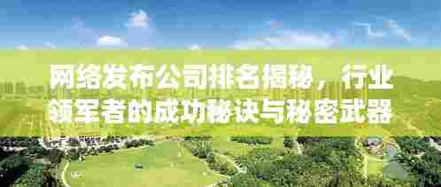 网络发布公司排名揭秘,行业领军者的成功秘诀与秘密武器