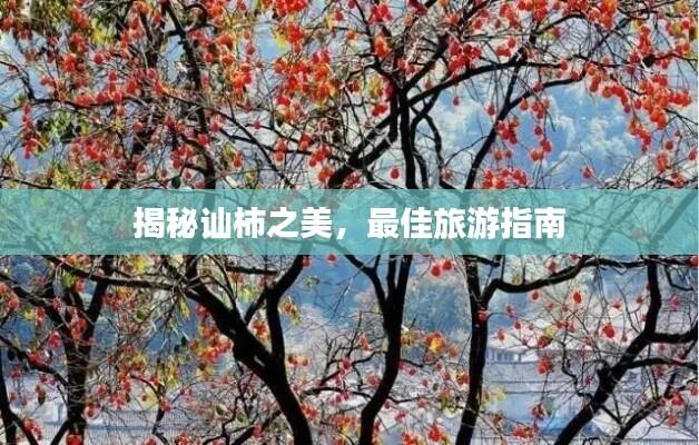 揭秘讪柿之美,最佳旅游指南