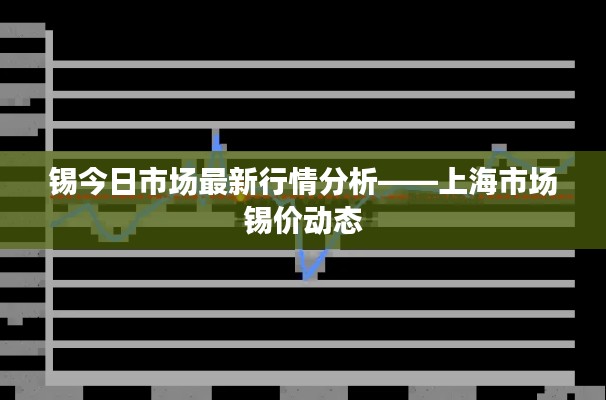 锡今日市场最新行情分析——上海市场锡价动态