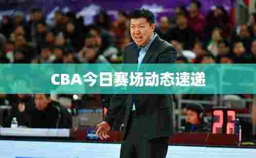 CBA今日赛场动态速递