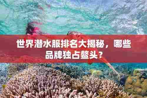 世界潜水服排名大揭秘,哪些品牌独占鳌头?