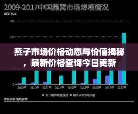 燕子市场价格动态与价值揭秘,最新价格查询今日更新