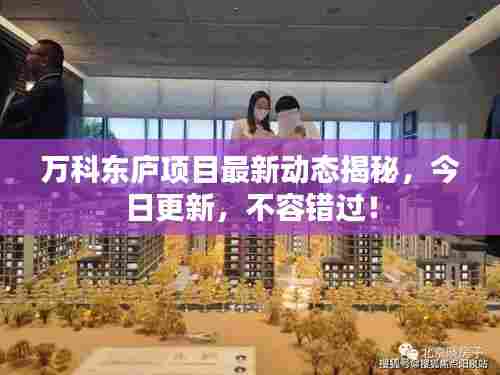 万科东庐项目最新动态揭秘，今日更新，不容错过！