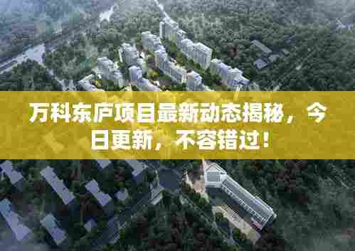 万科东庐项目最新动态揭秘,今日更新,不容错过!