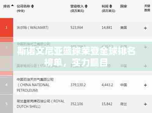 斯诺文尼亚篮球荣登全球排名榜单,实力瞩目