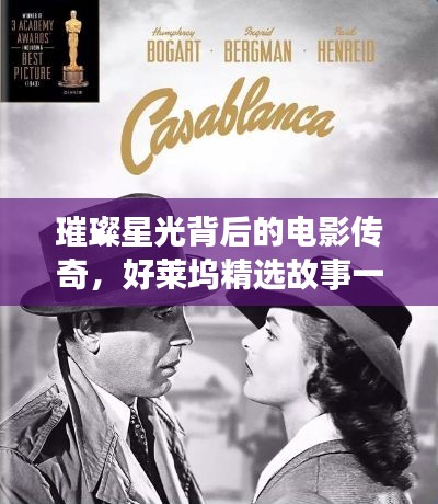 璀璨星光背后的电影传奇,好莱坞精选故事一网打尽