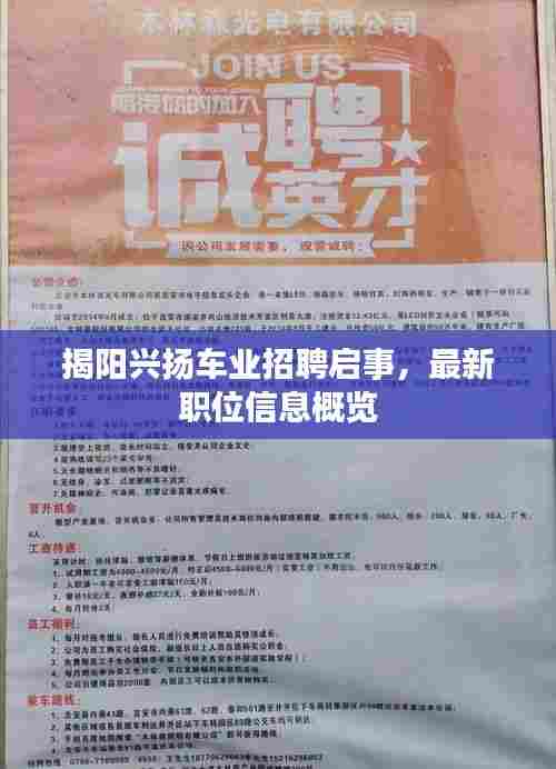 揭阳兴扬车业招聘启事,最新职位信息概览