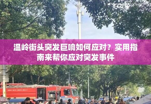 温岭街头突发巨响如何应对?实用指南来帮你应对突发事件
