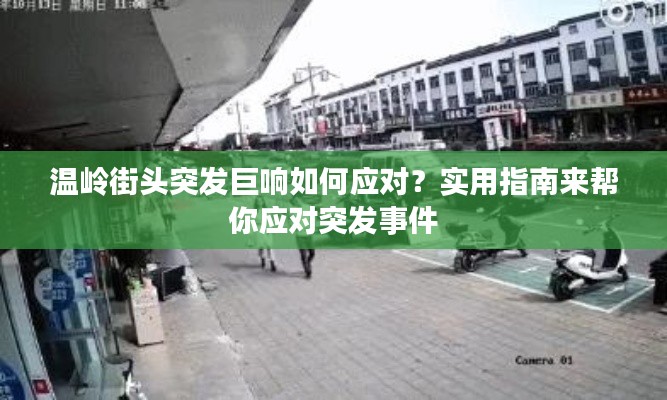 温岭街头突发巨响如何应对?实用指南来帮你应对突发事件