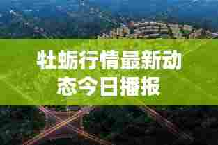 牡蛎行情最新动态今日播报
