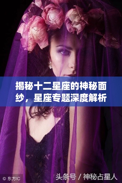 揭秘十二星座的神秘面纱，星座专题深度解析