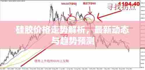 硅胶价格走势解析,最新动态与趋势预测